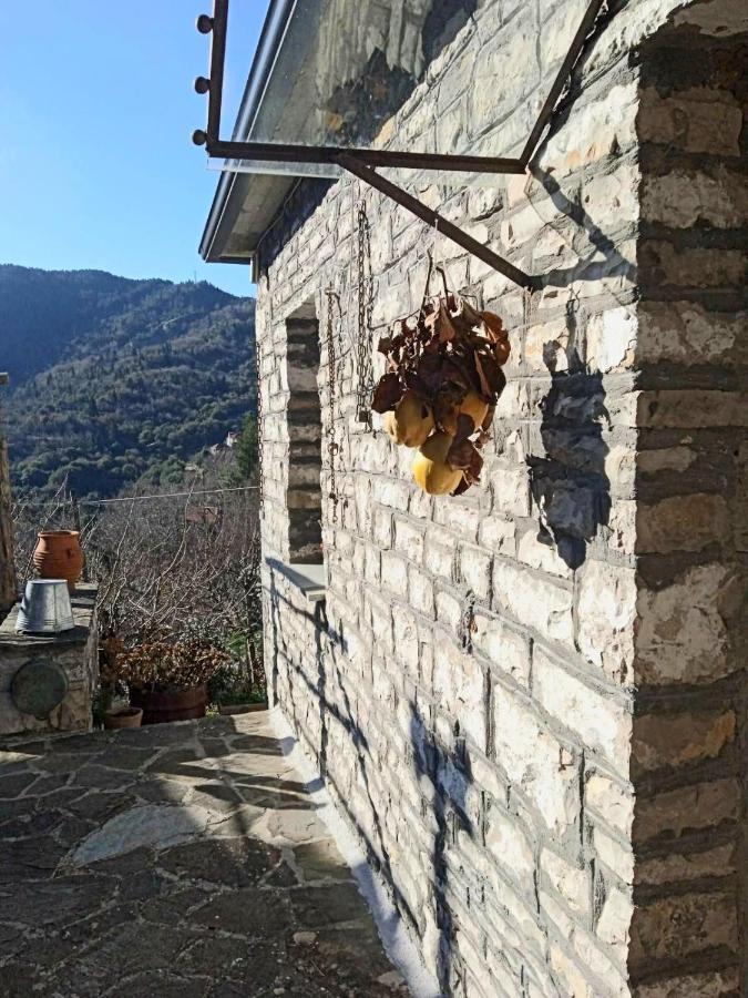 Alexadras Guesthouse Ampelochori Exteriér fotografie